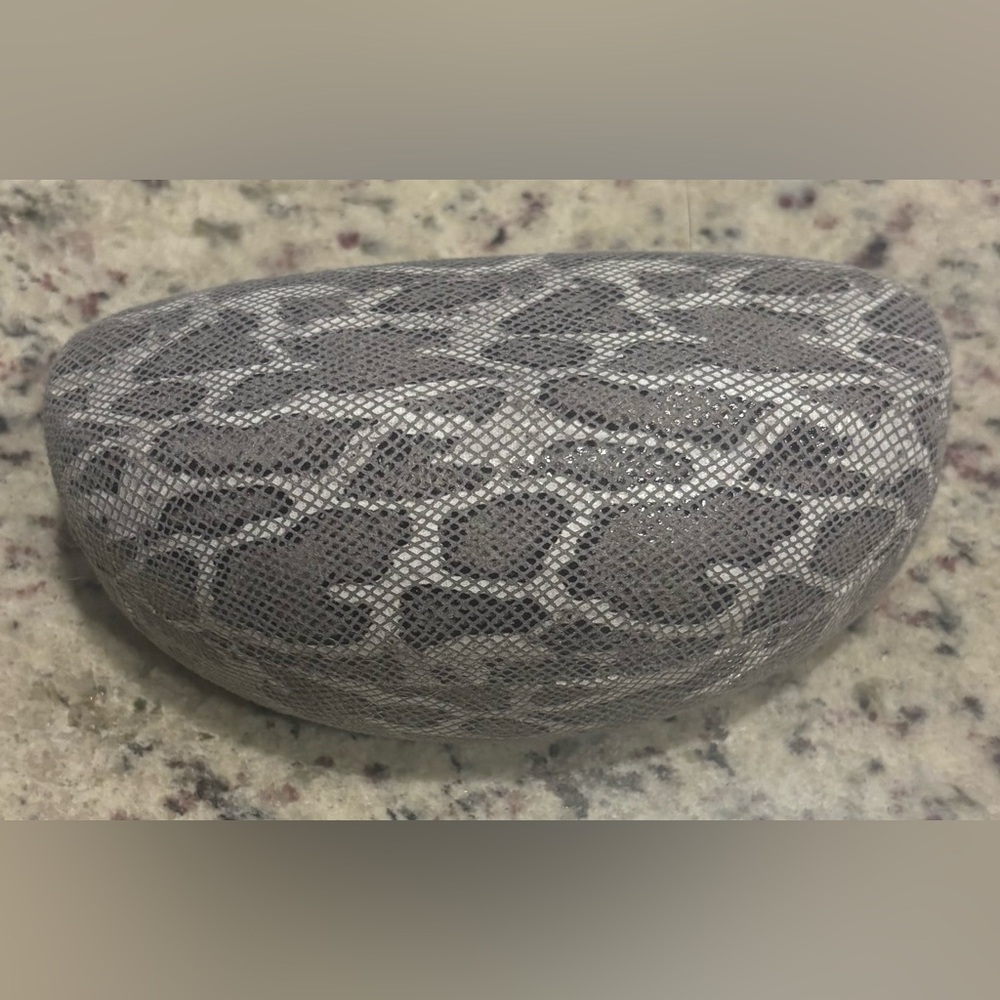 Black and Gray Eyeglass Case